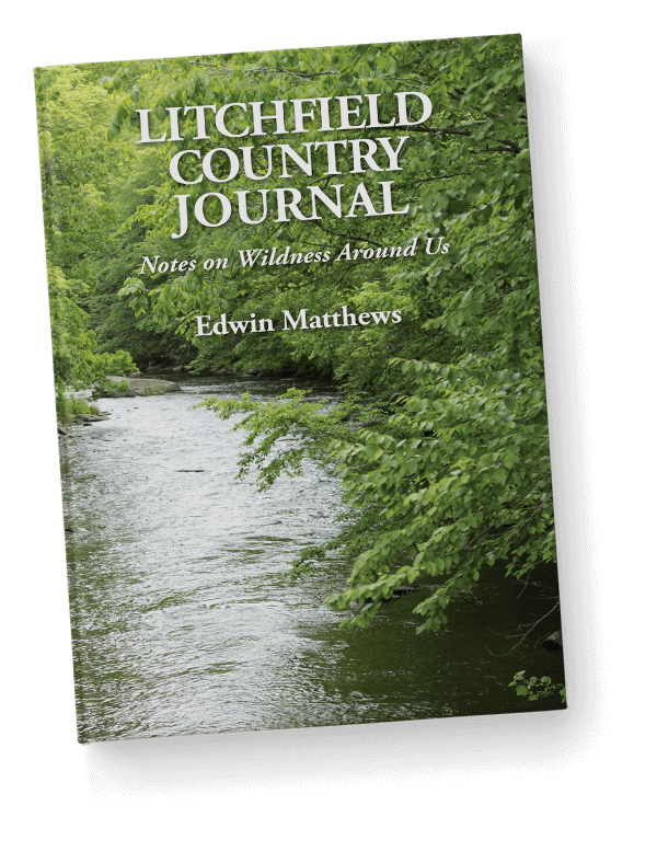 LItchfield Country Journal book cover